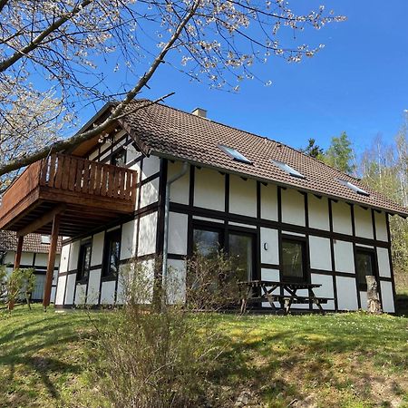 Ferienwohnung Mimo Direkt Am Waldrand Frankenau Exteriér fotografie